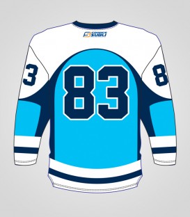 Maillot Hockey enfant recto - Jersey NHL 2